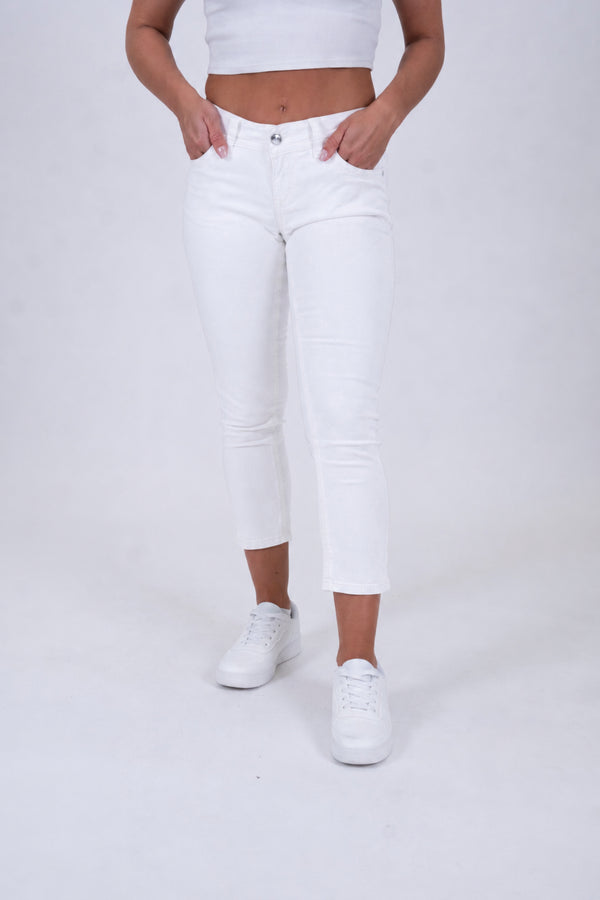 Blue Monkey  - Charlotte 30879X